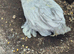 Young lilac peeking chickens