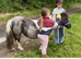 Princess - The Ultimate First Shetland