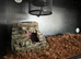 Snake viv
