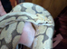 Male spider ghost royal python