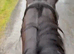 Grey 15,2