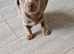 REDUCED 1 girl left ready next week