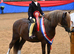 Lr m&m pony