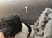 Beautiful standard poodle puppies