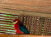 Crimson Rosella