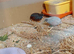 Chinese painted quail for sale in WS3