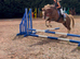 Allround childs pony