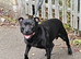 Stunning Female Available