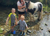 fully loan 20month old gelding