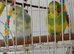 Beautiful baby budgies