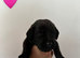KC registered Black Lab pups