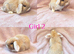 Baby Mini Lops (Ready 8/08)