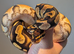 Female Orange Dream het Clown