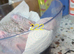 Baby Greenwing macaws