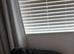 2 year old female