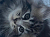 Stunning Mainecoon kittens