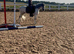 Project pony… please read description