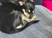 Rehoming my little girl