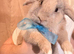 Boy bunny