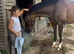 Super safe hunts horse / riding school dream