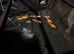 Koi carp and gold fish for sale