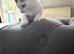6 kittens for sale
