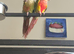 High Red Green cheek & Pineapple Conure