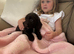 Cookapoo puppy&rsquo;s