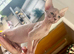 Beautiful Sphynx kittens