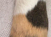 Guinea pigs - Bonded trio of Girls