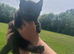 Kittens ready now