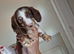 Long haired miniature Dachsund puppies