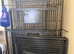 Large macaw parrots cage