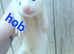 Marked white  hob