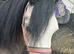 Hywi pompom
