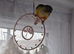 Beautiful & Intelligent 4-Month-Old Yellow-Sided Green-Cheeked Conures - Fully Weaned & Very Friendly.