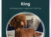Beautiful tiny f1bb cavapoo pra clear puppies