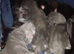 2weeks old