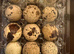 Jumbo Quail eggs for hatching