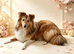 Shetland sheepdog