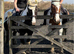 Pony’s to part loan 13-14.1hh