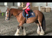 Super Safe Family Cob