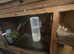 Breeding pair of budgies and eggs