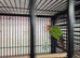 Mixed birds finches to parrots