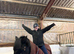 Part time loan for my handsome 15.3hh Welsh D gelding (&pound;20 a week)