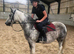 Pretty 12.2h 6yr mare
