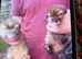 Ferret
