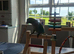 Beautiful hand reared turquoise green cheek conure with cage