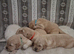 1 girl left! KC registered