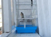 2026 goldfinches for sale